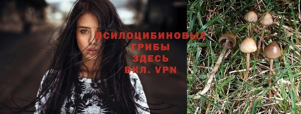 a pvp Абинск