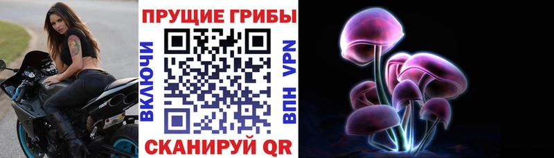дарнет шоп  Невельск  KRAKEN маркетплейс  Псилоцибиновые грибы Psilocybe 